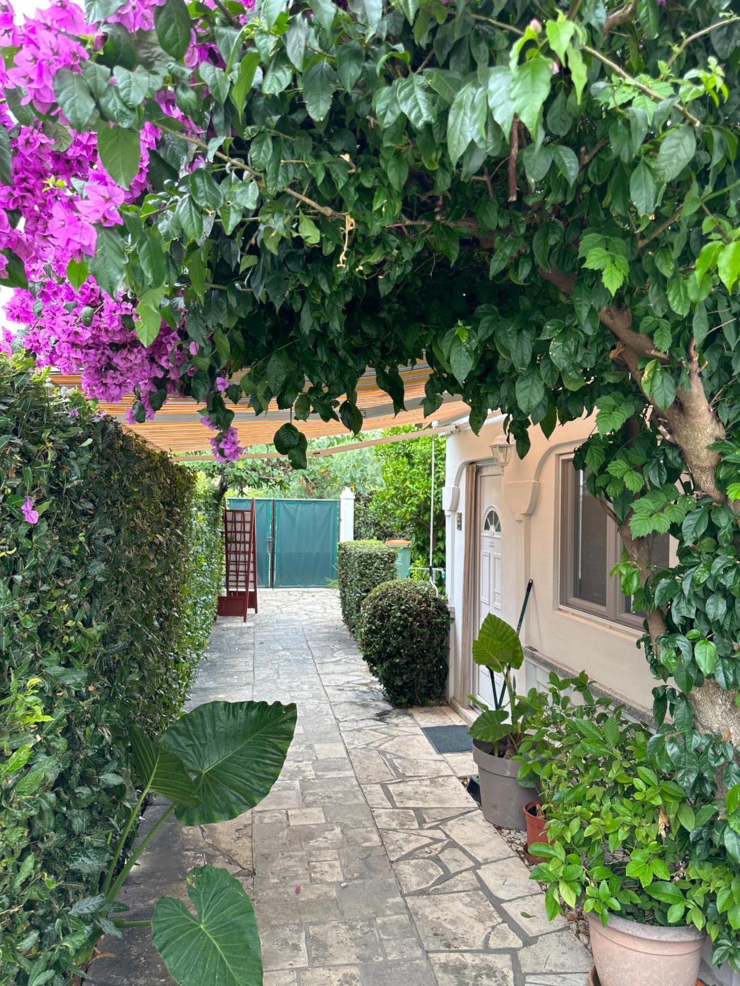 Luxury Residence Zola Zadar Zewnętrze zdjęcie